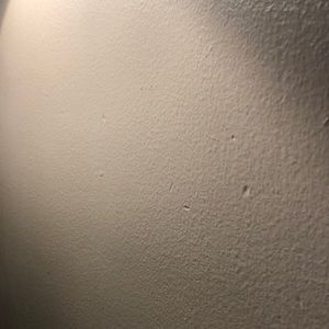 Meet your Posher, Lance